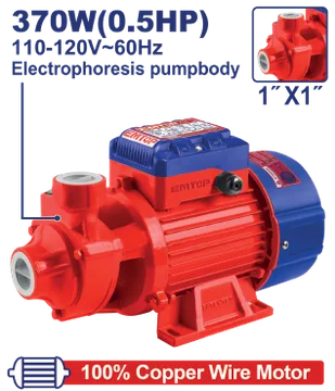 Bomba Ladrona 1/2Hp